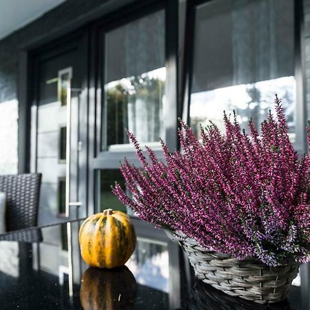 Ferienwohnung Saalhausen Sauerland Lennestadt Exteriér fotografie